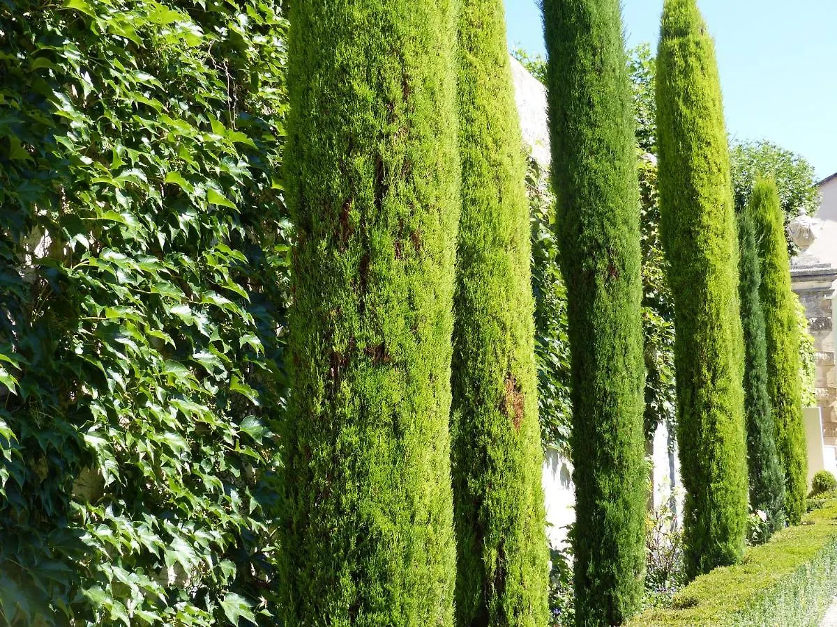 Nocleg ze śniadaniem Chateau Du Grand Jardin Valensole
